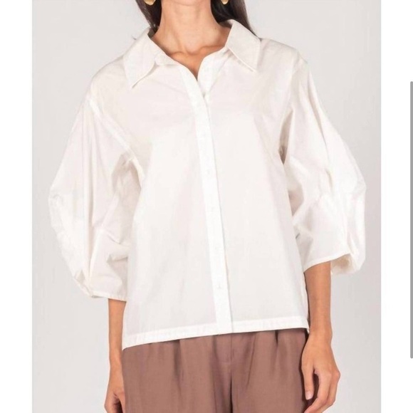 P Cill Poplin Button Up Blouse 3/4 Poof Balloon Sleeves White Large Elegant Work - Picture 1 of 12
